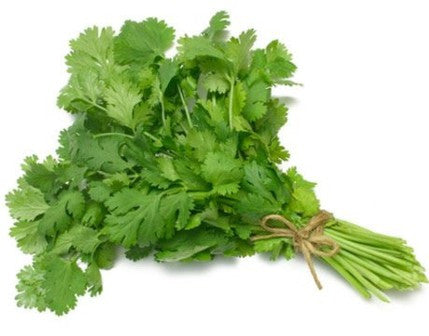 Herb Marker- Cilantro