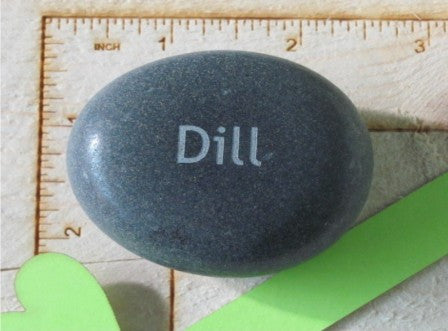Herb Marker- Dill