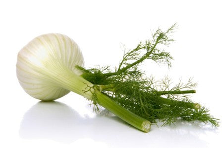 Herb Marker- Fennel
