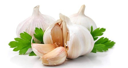 Herb Marker- Garlic