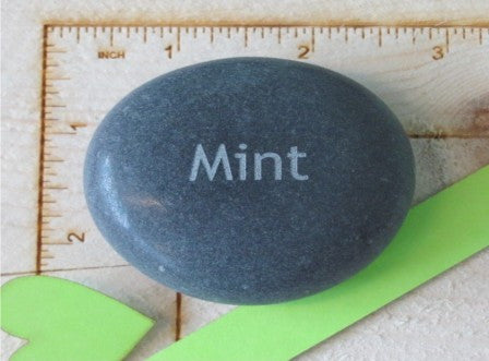 Herb Marker- Mint