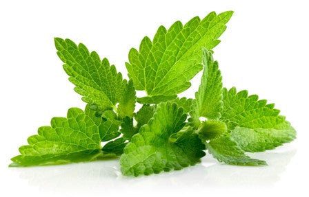 Herb Marker- Mint