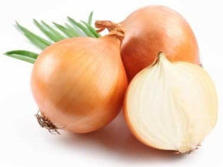 Herb Marker- Onion