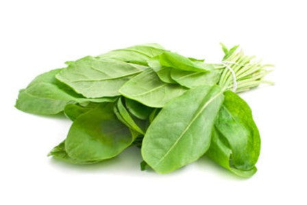 Herb Marker- Sorrel