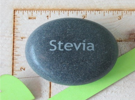 Herb Marker- Stevia